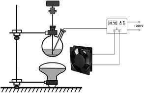 Graphical abstract: Enhanced extraction of osthole and imperatorin from Cnidium monnieri by infrared-accelerated enzyme pretreatment