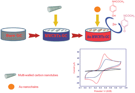 Graphical abstract: Controlled growth and molecular self-assembly of Au nanoparticles to Au nanochains: application towards enhancement for the electrochemical determination of paracetamol