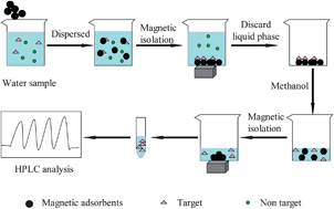 Graphical abstract: A simple and fast Fe3O4 magnetic nanoparticles-based dispersion solid phase extraction of Sudan dyes from food and water samples coupled with high-performance liquid chromatography
