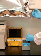 Graphical abstract: Major sources of uncertainties in the analysis of methylmercury using gold amalgamation sampling