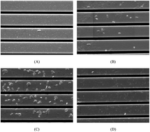 Graphical abstract: Multivariate data analysis of impedimetric biosensor responses from Salmonella typhimurium