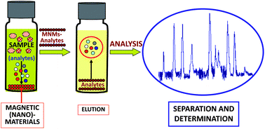 Graphical abstract: Magnetic (nano)materials as an useful tool for sample preparation in analytical methods. A review