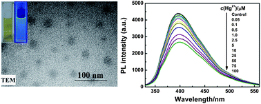 Graphical abstract: Preparation of photoluminescent carbon nanodots by traditional Chinese medicine and application as a probe for Hg2+