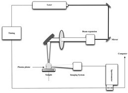 Graphical abstract: Regional discrimination of oysters using laser-induced breakdown spectroscopy