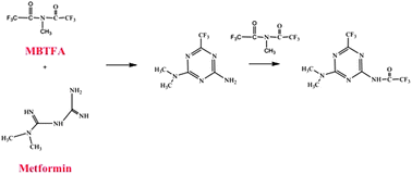 Graphical abstract: The development and validation of a gas chromatography-mass spectrometry method for the determination of metformin in human plasma