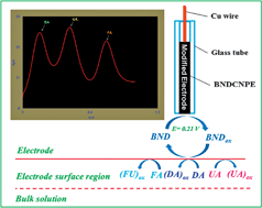 Graphical abstract: Electrochemical behavior of dopamine at a [1,1′-binaphthalene]-4,4′-diol-modified carbon nanotube paste electrode and the simultaneous determination of dopamine, folic acid and uric acid