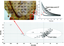 Graphical abstract: Non-invasive characterization of polymeric materials in relation to art conservation using unilateral NMR combined with multivariate data analysis