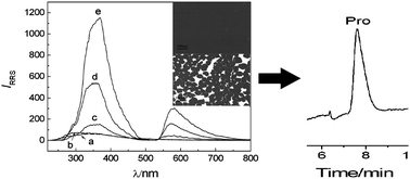 Graphical abstract: Incorporation of high performance liquid chromatography with resonance Rayleigh scattering detection for determination of procaine and lidocaine in human plasma