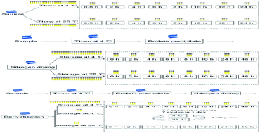 Graphical abstract: A GC-MS study of the stability of rat serum metabolome during the sample preparation procedure