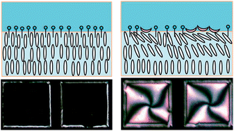 Graphical abstract: Liquid crystal based sensors for the detection of cholic acid