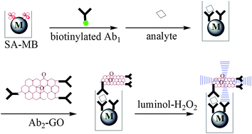 Graphical abstract: Ultrasensitive chemiluminescent immunoassay labeled with graphene oxide