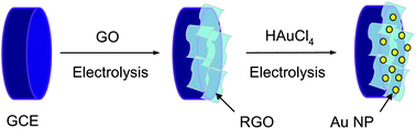 Graphical abstract: Electrochemical detection of 4-nitrophenol based on a glassy carbon electrode modified with a reduced graphene oxide/Au nanoparticle composite