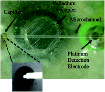 Graphical abstract: Encapsulation of fluidic tubing and microelectrodes in microfluidic devices: integrating off-chip process and coupling conventional capillary electrophoresis with electrochemical detection