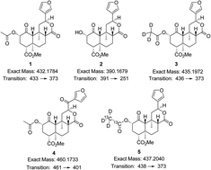 Graphical abstract: LC-MS/MS quantification of salvinorin A from biological fluids