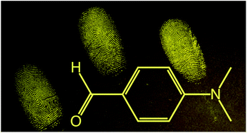 Graphical abstract: p-Dimethylaminobenzaldehyde: preliminary investigations into a novel reagent for the detection of latent fingermarks on paper surfaces