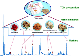 Graphical abstract: Holistic analysis of seven constituents from five medicinal herbs composing Wuhu powders in a single run by ultra performance liquid chromatography: application to quality control study