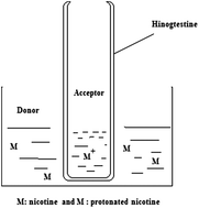 Graphical abstract: Using hog intestine as the membrane in a supported liquid membrane (SLM) for separation and enrichment of nicotine compounds from tobacco