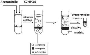 Graphical abstract: Determination of sulfonamides in blood using acetonitrile–salt aqueous two-phase extraction coupled with high-performance liquid chromatography and liquid chromatography–tandem mass spectrometry