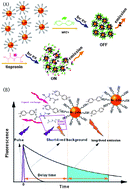Graphical abstract: Self-assembled Mn-doped ZnSe quantum dot–methyl viologen nanohybrids as an OFF–ON fluorescent probe for time-resolved fluorescence detection of tiopronin