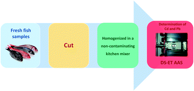 Graphical abstract: Determination of cadmium and lead in fresh fish samples by direct sampling electrothermal atomic absorption spectrometry