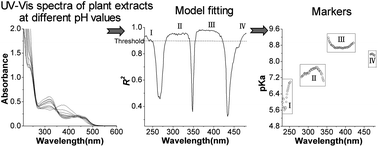 Graphical abstract: Characterization of nine traditional Chinese plant extracts with specific acid dissociation constants by UV-Vis spectrophotometry