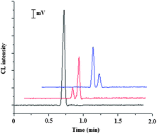 Graphical abstract: Homogeneous immunoassay of cortisol based on microchip electrophoresis with chemiluminescence detection