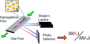 Graphical abstract: Vapor discrimination by dual-laser reflectance sensing of a single functionalized nanoparticle film