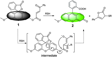 Graphical abstract: Fluorescent detection of biothiols based on a novel cascade reaction