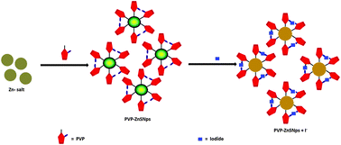 Graphical abstract: Polyvinyl pyrrolidone modified ZnS nanoparticles as a highly selective and sensitive nanosensor for the iodide ion