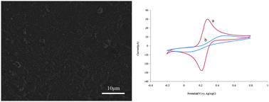 Graphical abstract: Construction of a carbon paste electrode based on ionic liquid for trace electrochemical detection of nitrite in food samples