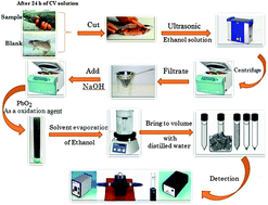 Graphical abstract: The ultratrace detection of crystal violet in fish and environmental water samples using cold-induced aggregation microextraction based on ionic liquid (IL-CIAME)