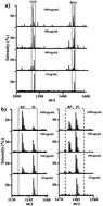 Graphical abstract: Multiplexed quantification of surface-bound proteins on gold nanoparticles