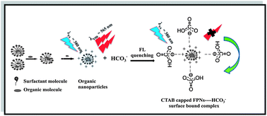 Graphical abstract: Cetyltrimethylammonium bromide stabilized perylene nanoparticles for fluorimetric estimation of bicarbonate (HCO3−) anion: spectroscopic approach