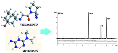 Graphical abstract: A simultaneous assay method using capillary zone electrophoresis for a fixed dose combination of vildagliptin and metformin hydrochloride in coated tablets