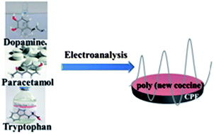 Graphical abstract: A simple and novel strategy for the simultaneous determination of dopamine, acetamidophenol and tryptophan based on poly(new coccine) film modified carbon paste electrode