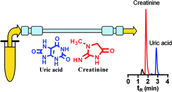 Graphical abstract: A simple, rapid and reliable high performance liquid chromatography method for the simultaneous determination of creatinine and uric acid in plasma and urine