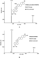 Graphical abstract: Determination of 2-methoxyestradiol from endometrial cancer patients' urine by LC-MS/MS with hollow fiber liquid-phase microextraction