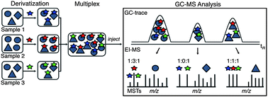 Graphical abstract: Electron ionization-induced release of coded isotopic reporter ions in an m/z zone of minimal interference for quantifiable, multiplexed GC-MS analyses