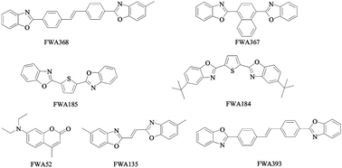 Graphical abstract: Quantitative determinations of seven fluorescent whitening agents in polystyrene and polyvinyl chloride plastics by ultrahigh performance liquid chromatography–tandem mass spectrometry