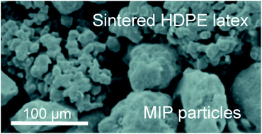 Graphical abstract: Extraction of salbutamol using co-sintered molecularly imprinted polymers as a new format of solid-phase extraction