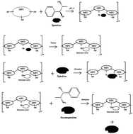 Graphical abstract: Synthesis of molecularly imprinted co-polymers for recognition of ephedrine