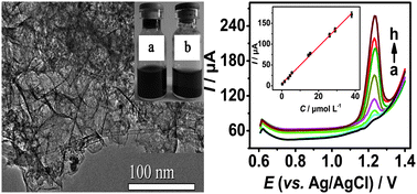 Graphical abstract: A sensitive theophylline sensor based on a single walled carbon nanotube–large mesoporous carbon/Nafion/glassy carbon electrode