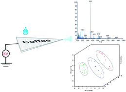 Graphical abstract: Coffee origin discrimination by paper spray mass spectrometry and direct coffee spray analysis