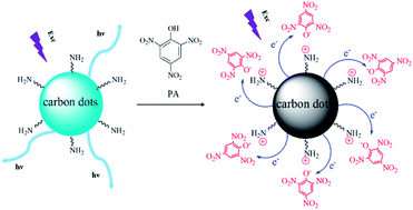 Graphical abstract: Amine-capped carbon dots as a nanosensor for sensitive and selective detection of picric acid in aqueous solution via electrostatic interaction