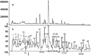 Graphical abstract: Characterization of phenolic constituents in Lithocarpus polystachyus