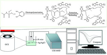 Graphical abstract: A computational approach to design an electrochemical sensor and determination of acephate in aqueous solution based on a molecularly imprinted poly(o-phenylenediamine) film