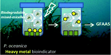 Graphical abstract: Determination of Ni, Cr, Cu, Pb and Cd on the Mediterranean endemic plant Posidonia oceanica using the green extraction method “Microwave Assisted Micellar Extraction” and GFAAS
