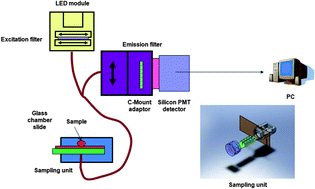 Graphical abstract: Detection of pathogenic Salmonella with nanobiosensors