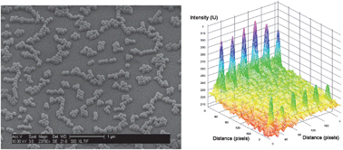 Graphical abstract: Size separation of biomolecules and bioparticles using micro/nanofabricated structures