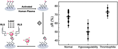 Graphical abstract: A microarray-based resonance light scattering assay for detecting thrombin generation in human plasma by gold nanoparticle probes